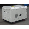 BISON(CHINA) Electric Start Factory Price Diesel Engine Genset 12kva